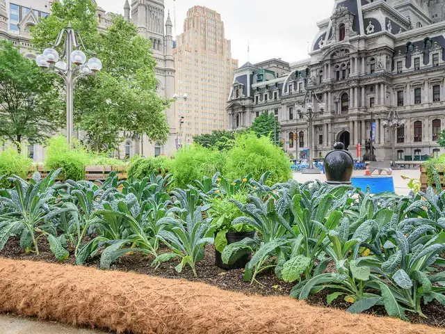 Farm for the City&nbsp;installation at Thomas Paine Plaza. Photo by Rob Cardillo Photography.