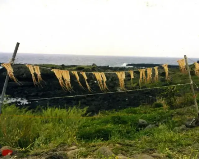 Still from Diving Women of Jeju-do, Barbara Hammer, 2007, 30 minutes.