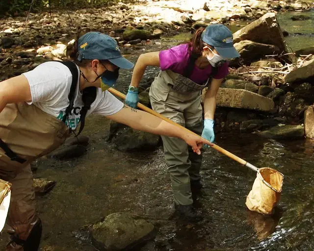 Scientists from the Patrick Center for Environmental Research at the Academy of Natural Sciences of Drexel University collecting samples. Photo by&nbsp;John Hutelmyer, ANS.