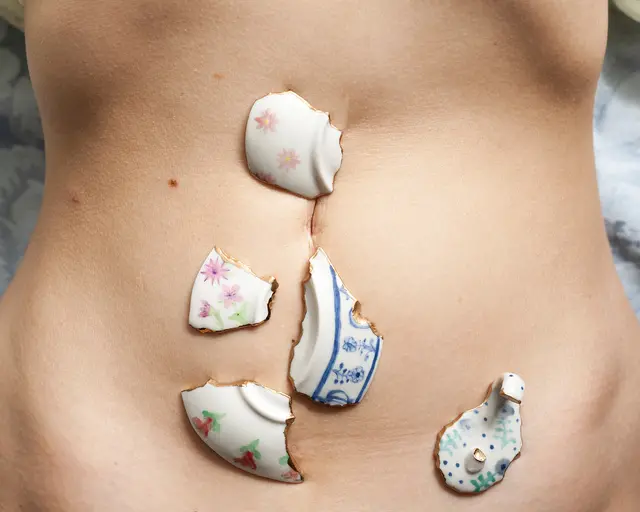 Jennifer Ling Datchuk, One Tough Bitch, 2019; photograph of porcelain shards, china paints, and gold leaf