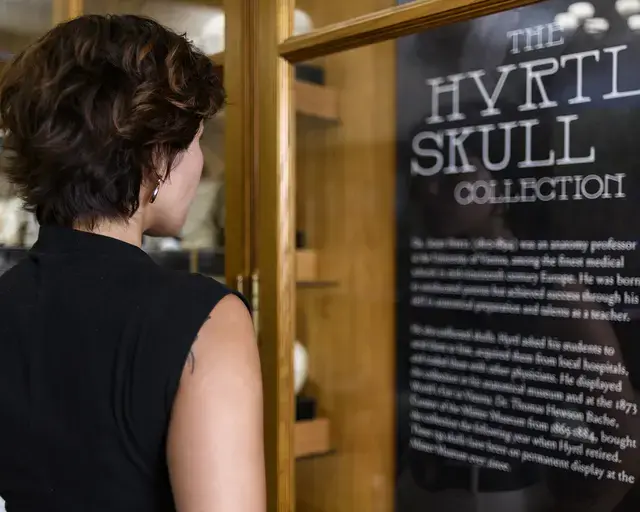 A visitor reading a label at the Mütter Museum.