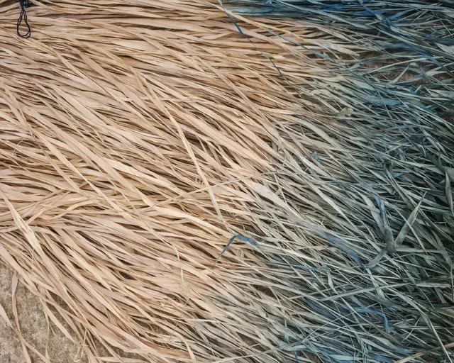 Naturally dyed fiber.
