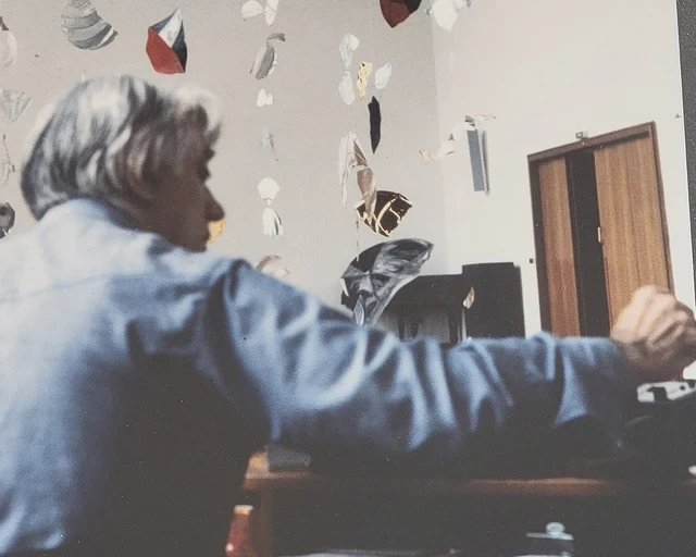 David Tudor. Photo courtesy of Bowerbird.