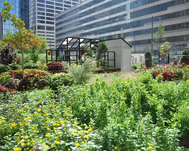A view looking southeast in the PHS Pop Up Garden at 20th and Market Streets in Philadelphia, created by Pennsylvania Horticultural Society in 2011. Photo courtesy of Pennsylvania Horticultural Society.