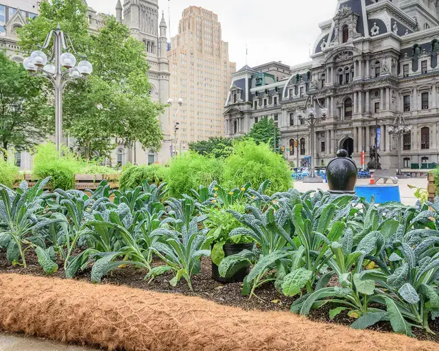 Farm for the City&nbsp;installation at Thomas Paine Plaza. Photo by Rob Cardillo Photography.