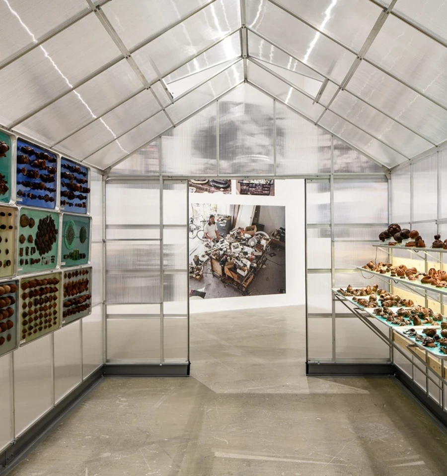 Carl Cheng: Nature Never Loses, 2025 installation view, Institute of Contemporary Art, University of Pennsylvania. Photo by Constance Mensh.